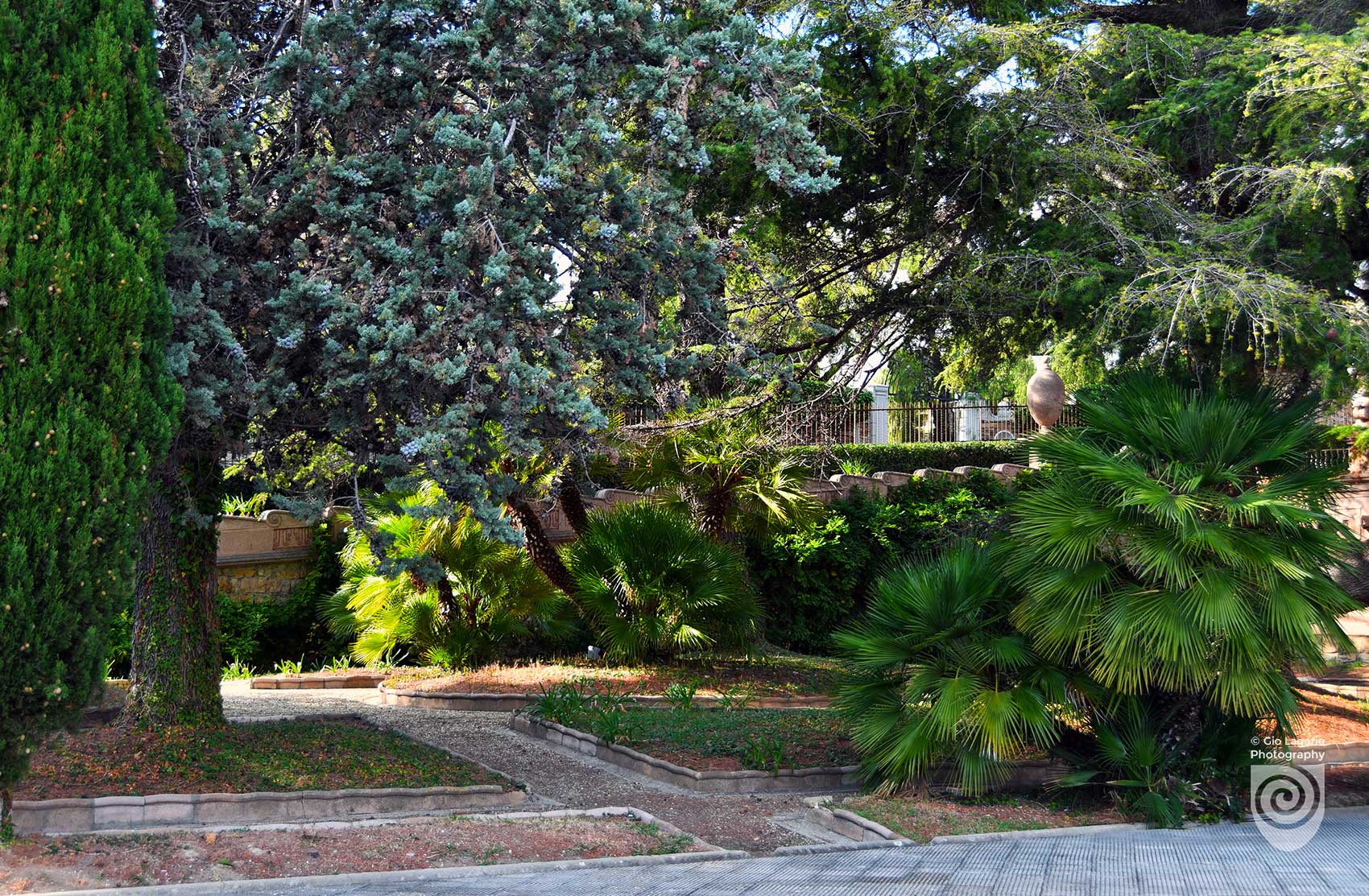 Prospettiva del parco